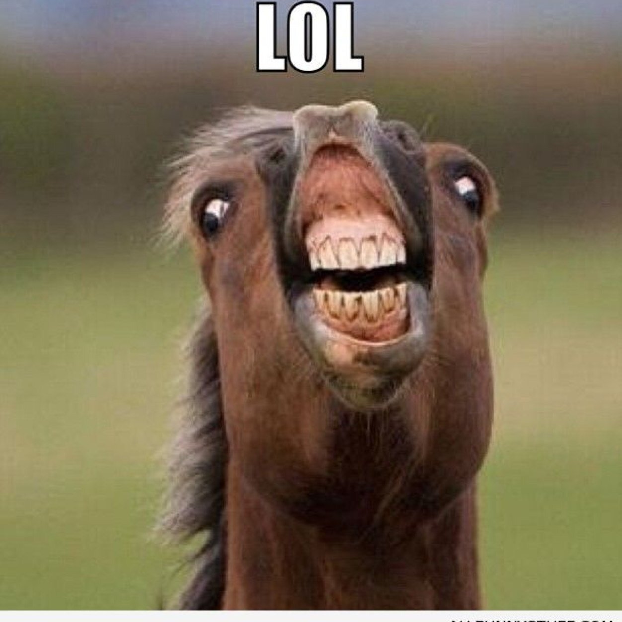 dylanobrien975's profile picture. Bum