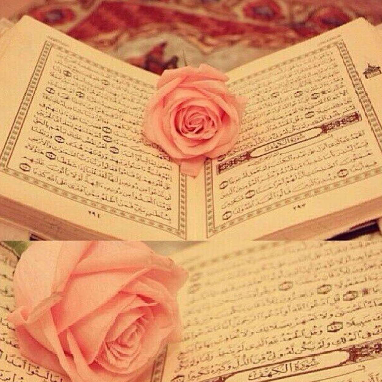 ‏لِحياتنا نِہايہ ، ربّآه نسألك حُسنہا ♡