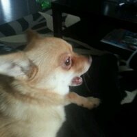Mac Topp (@mactopp) 's Twitter Profile