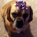 J. Crowley - @JanCrowley - Twitter