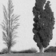 eg_echoes's profile picture. 