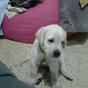 Armando Lucas - @ArmandoLucas14 - Twitter