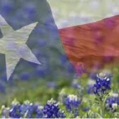 PeggyHinTX's profile picture. 