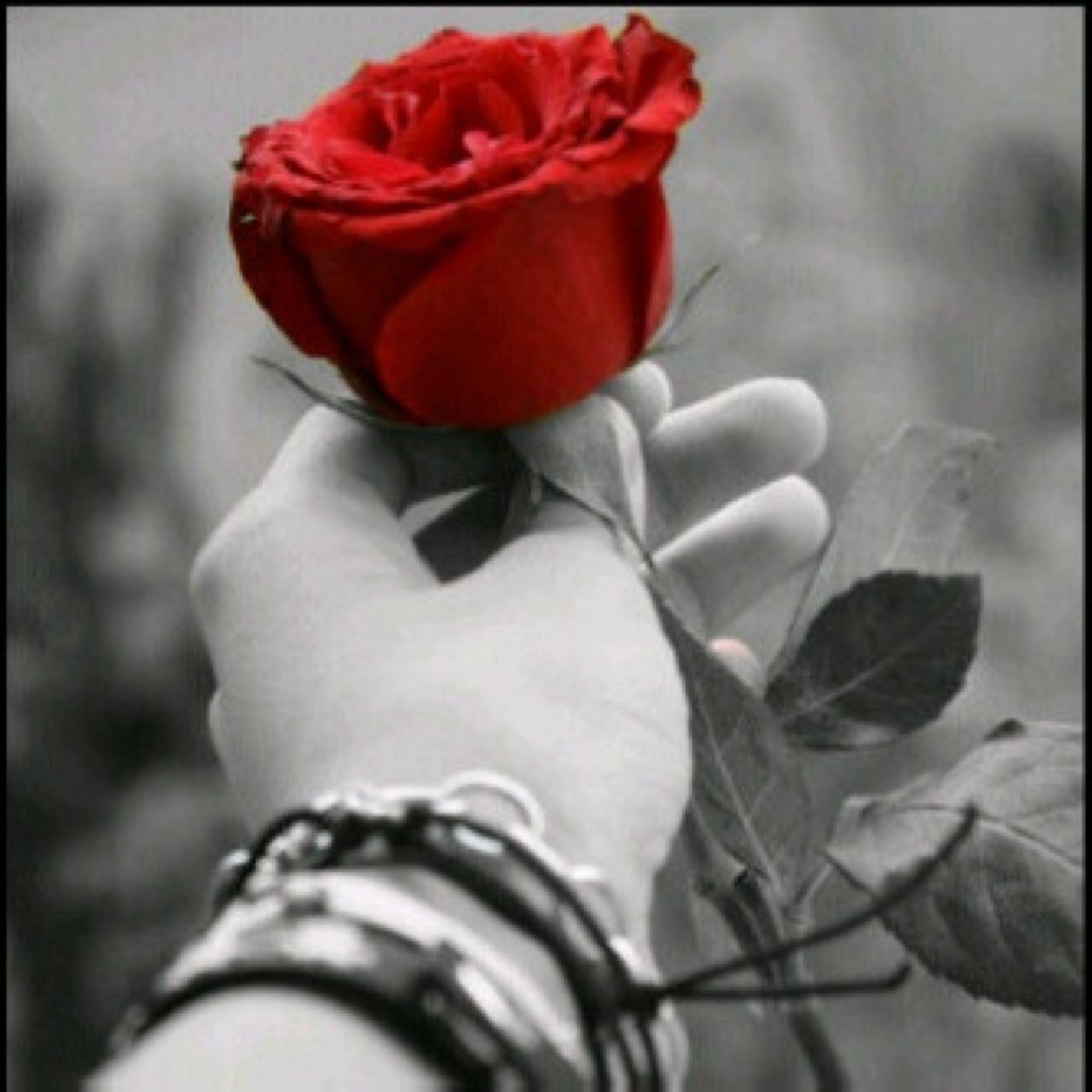 انستقرام 
k_yami555