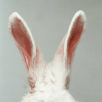 Kelsey Brrwmn (@zomgstop) 's Twitter Profile