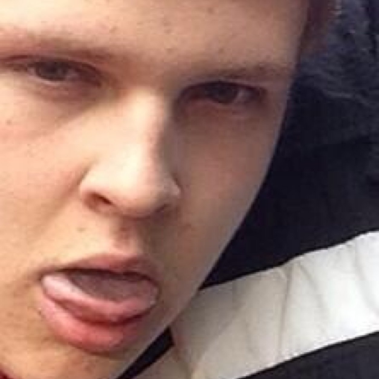 Hi guys 
i love super saiyans
I love stank facin 
I love cats 
I love baseball 
But really i like cats the mostest