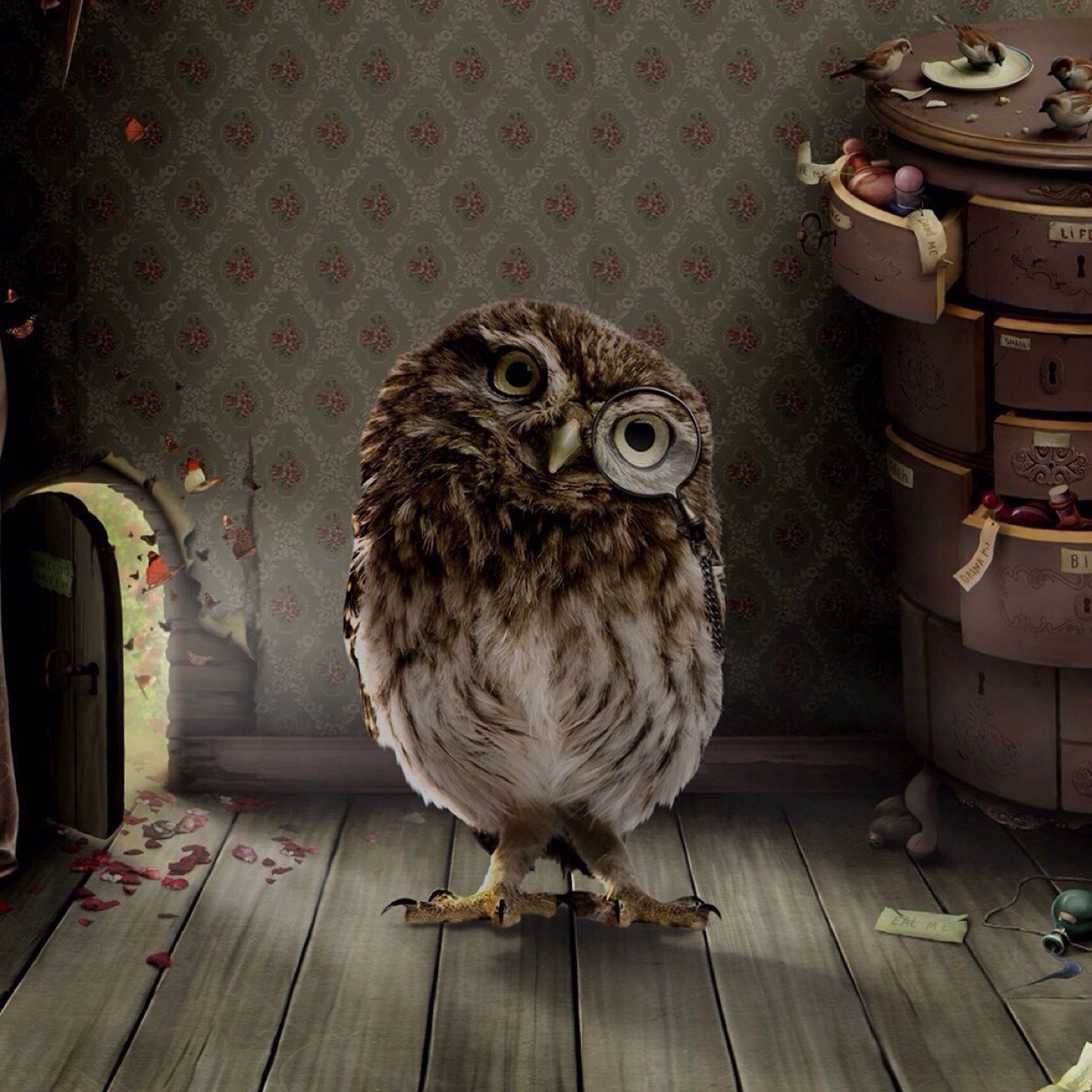 makharadzeMa's profile picture. 