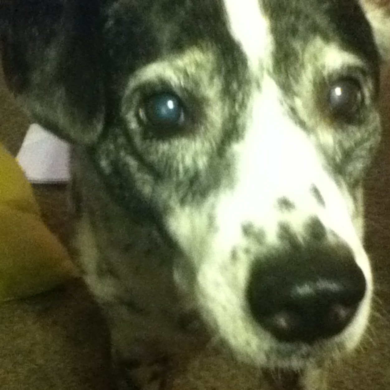 kcleis660's profile picture. 