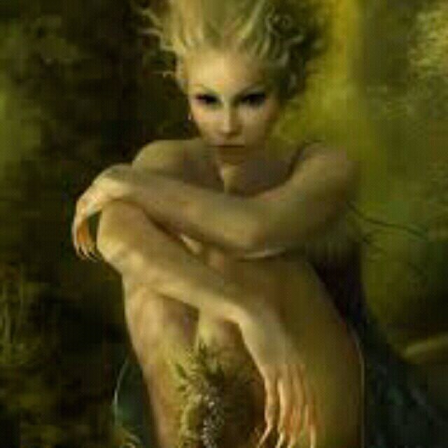 omniscienteso's profile picture. di tutto quello che cè non manca nulla.