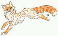Im Sunpaw I love new people and hate StarClan