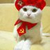KITI (@28xl00) Twitter profile photo