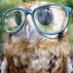 Albert Filice (@monstasaurous) Twitter profile photo Albert Filice (@monstasaurous) Twitter profile photo
