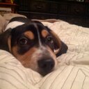 David Whitsel - @dwplanetsix - Twitter