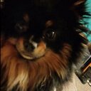 Patti willard - @PattiWillard - Twitter