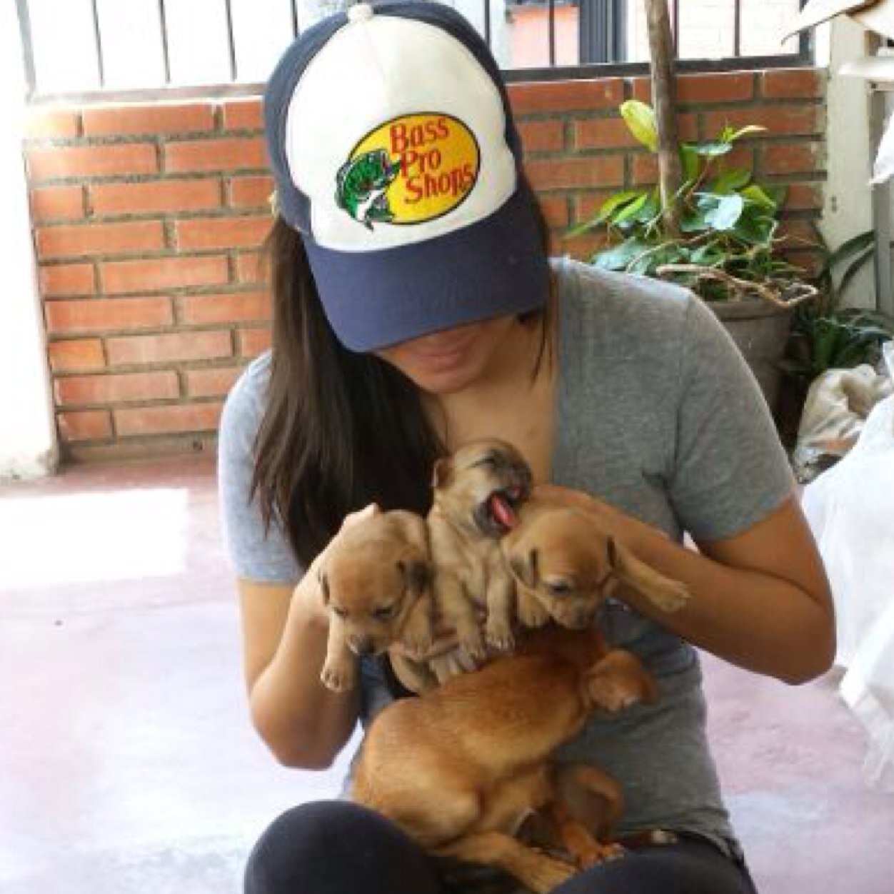 Lic. En Enfermeria Ucv instrumentación Escuela del Vargas English CVA amante de los animales,buena comida,películas,música y enamorada de la vida y de mi amor ❤