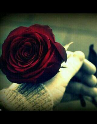!♡̷̷̷̷̷ قِد آكَتب عنَ إحَتياجّي كثُيرِاً لًكنيّ لا آرْتجيّ آهتَمامٌ آحُد..