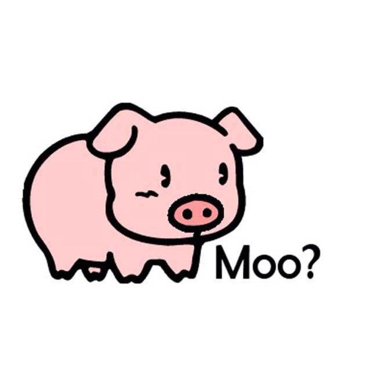 AcevesEsteban's profile picture. 