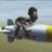 desjoffcrevjui1's profile image