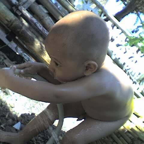 penikmat semur jengkol