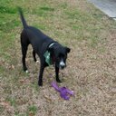 Glenn Smith - @Gsmith10708 - Twitter