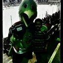 Collin fields - @nascar24mi - Twitter