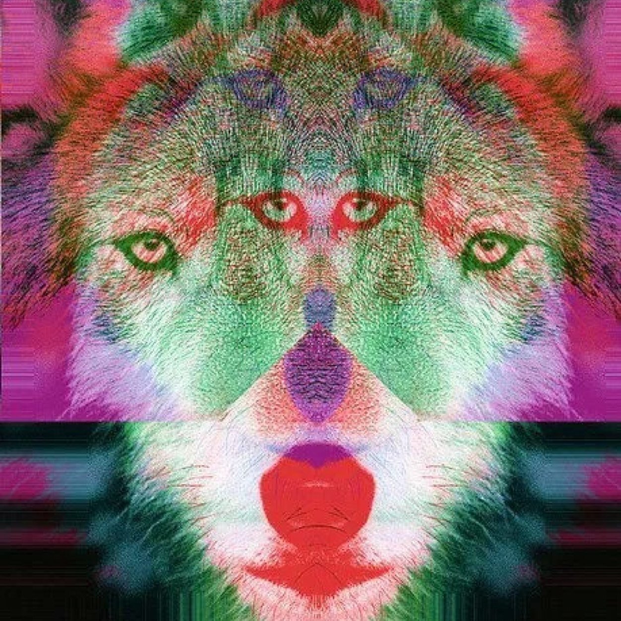 magosigi's profile picture. 