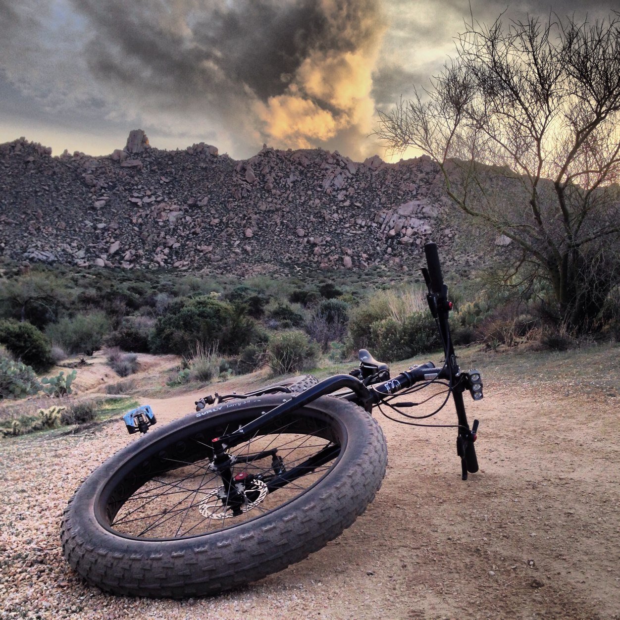 mobius_lab's profile picture. 