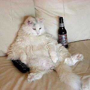 ultimatesb14's profile picture. 