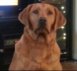 scrutch123's profile picture. 