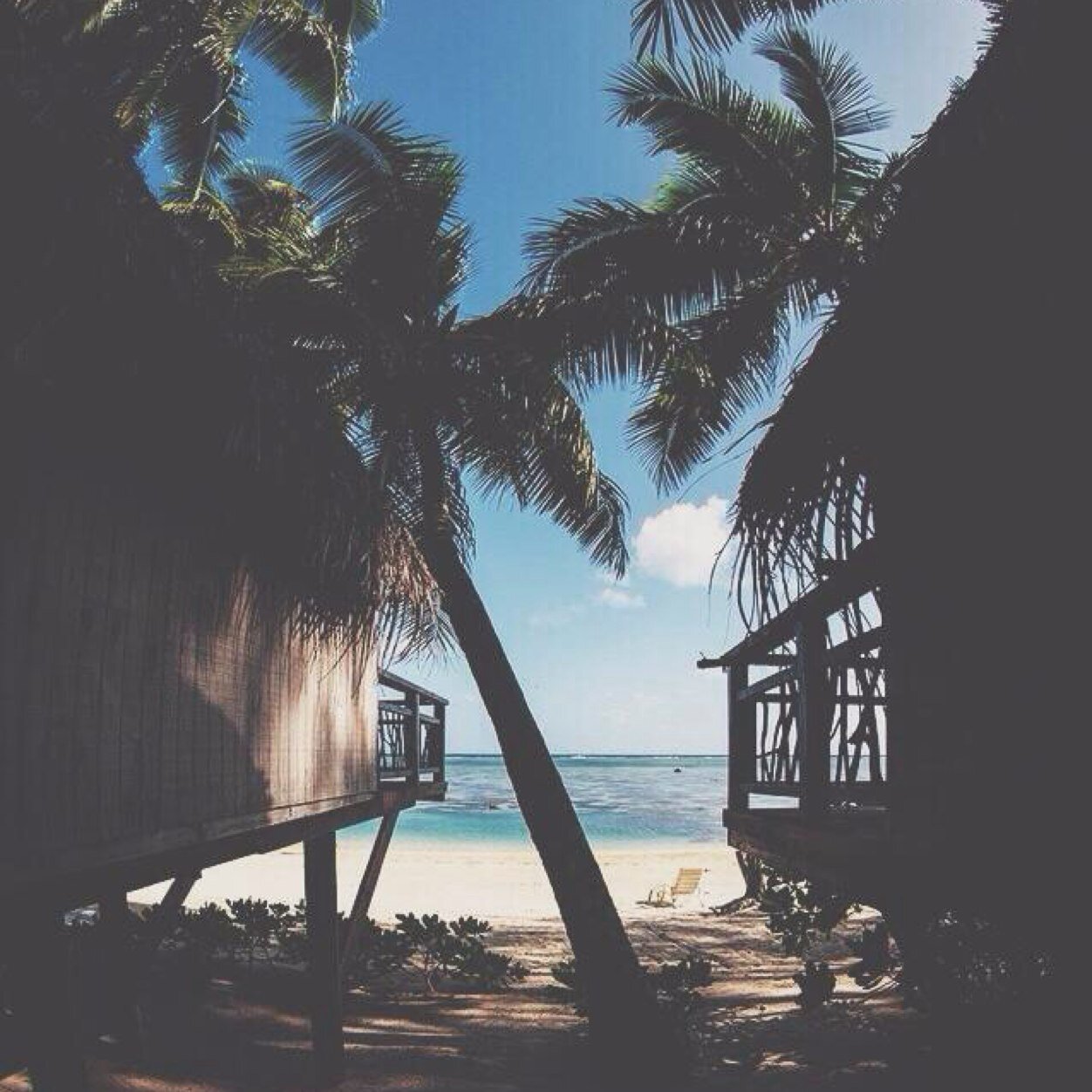 hellosummer2014's profile picture. everything you NEED to do this summer☀️ making memories while running around town #HelloSummer2014
