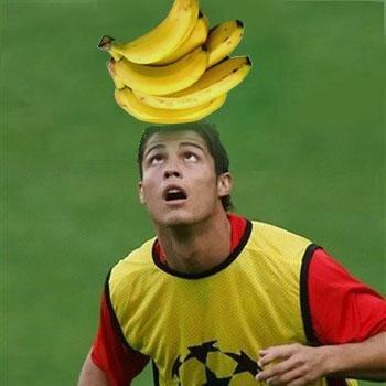 lashaycady6071's profile picture. LashayCady6071