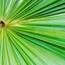 mandy darling - @mandydarling2 - Twitter