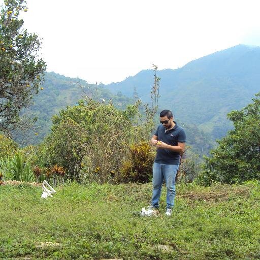 Ingeniero Agropecuario