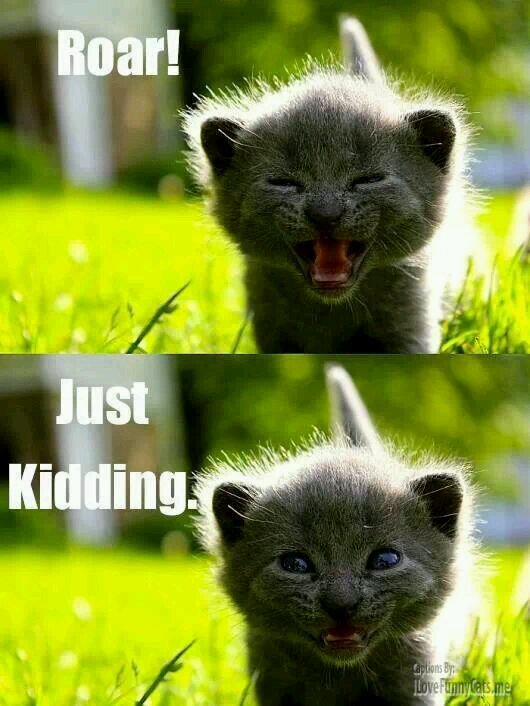 ayesuckmeman26's profile picture. 