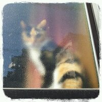 upa (@luckyupa) 's Twitter Profile
