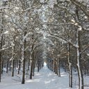 Randi Bryan - @Randi_Bryan - Twitter