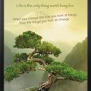 Anthony Caldeira - @orlando_aoc - Twitter