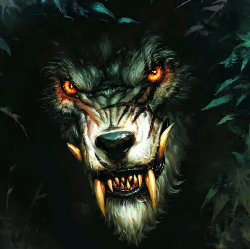 Alejandro Ruffo (@ruffo_alejandro) | Twitter