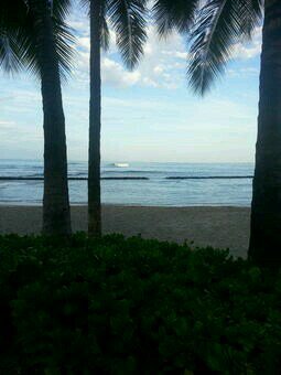 FranchiniLf's profile picture. 