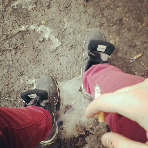 die_naive's profile picture. 