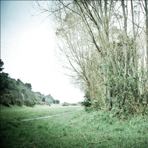 Kelson_girl's profile picture. Teacher aide with Phd, loves travel, live in Kelson, loving the Hutt Valley, looking out for neat activities, concerts, coffee spots. First time Mum May 2017