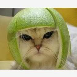 Взаимный Фолловинг - #followback .