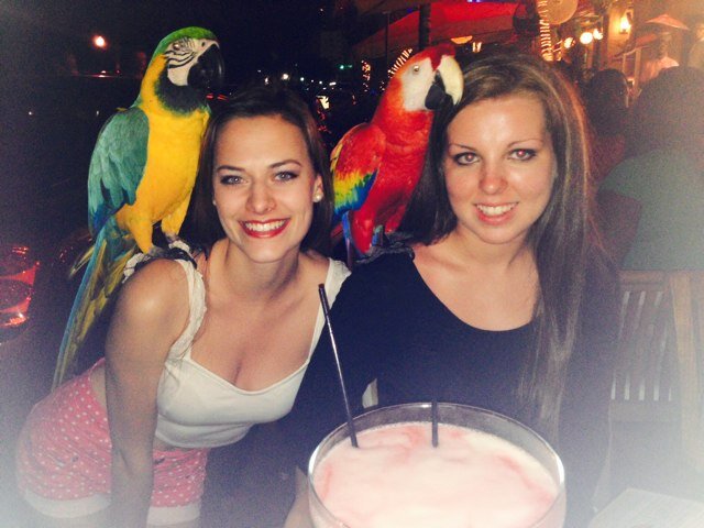 elsaburbelo's profile picture. ΔΖ at UGA