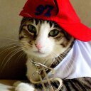 Teague Randall - @TeagueRandall - Twitter