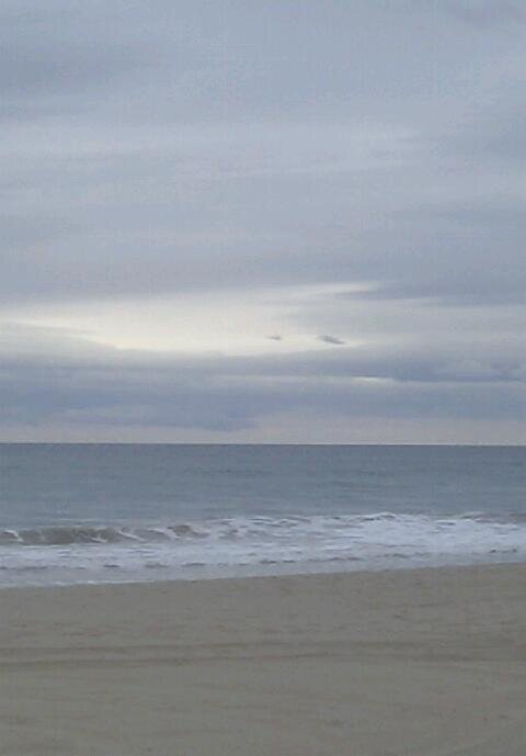 DolorsSanahuja's profile picture. 