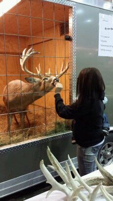 3_meyer's profile picture. 