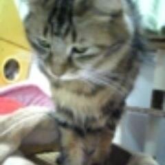 a_kakitsubata's profile picture. ☆ハイヒール大好き*猫好き *温泉好き *人見知り激し過ぎ *牡蠣イクラうにフォアグラ好き *車 ＆ドライブ大好き *ショピング *ハワイ*モナコ*