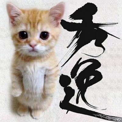 秀逸にゃんこ まとめ速報zはいぱー 庄司智春 藤本美貴夫妻の自宅は3億円豪邸ww子供 息子 娘 出産して都内新築に引っ越し 2ch 嫁の実家は貧乏で韓国人だったのに 稼ぎ凄いな 子供画像あり T Co H3rc5cbtgl