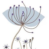 Claire Slater (@cslaterflowers) 's Twitter Profile