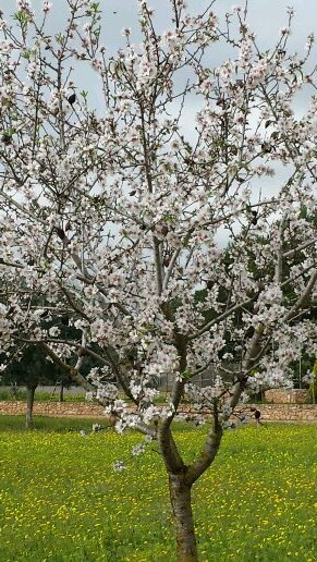 lali_juan's profile picture. 